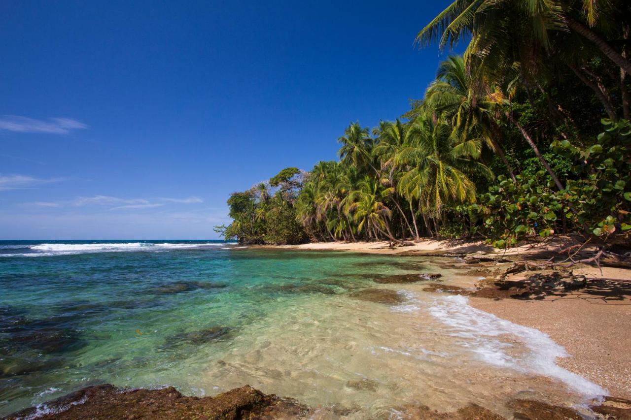 Manzanillo Caribbean Resort Puerto Viejo de Talamanca المظهر الخارجي الصورة