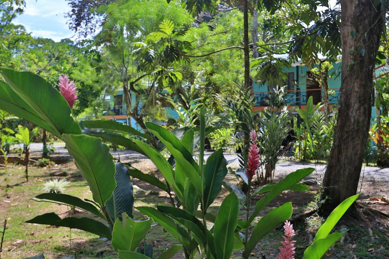 Manzanillo Caribbean Resort Puerto Viejo de Talamanca المظهر الخارجي الصورة